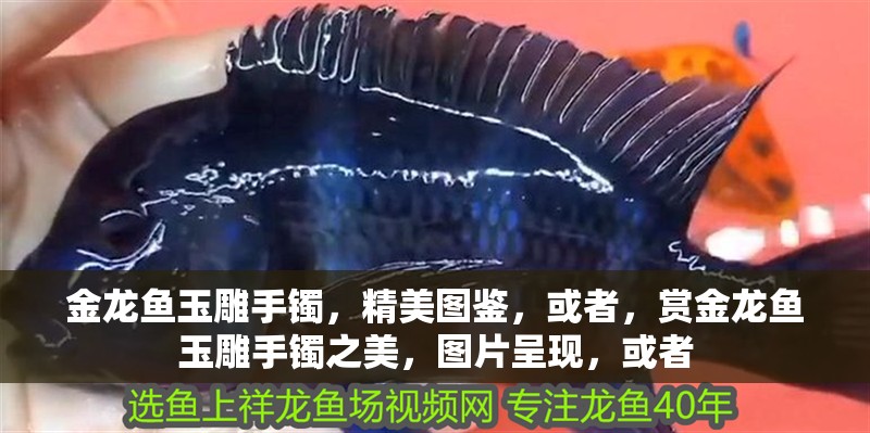 金龍魚玉雕手鐲，精美圖鑒，或者，賞金龍魚玉雕手鐲之美，圖片呈現，或者