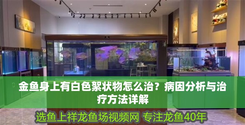 金魚身上有白色絮狀物怎么治？病因分析與治療方法詳解
