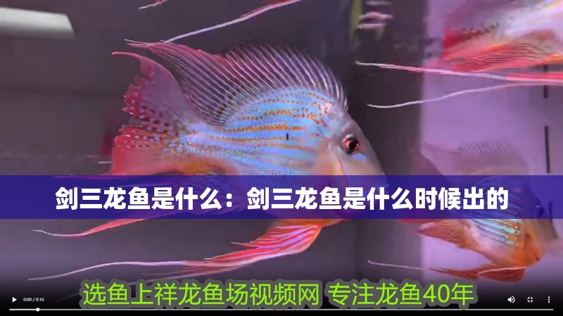 劍三龍魚是什么：劍三龍魚是什么時候出的