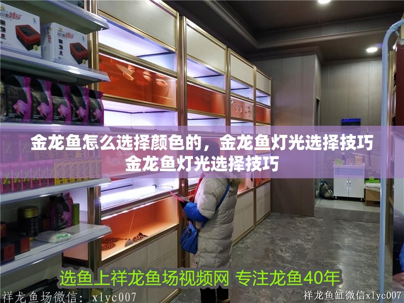 金龍魚怎么選擇顏色的，金龍魚燈光選擇技巧金龍魚燈光選擇技巧