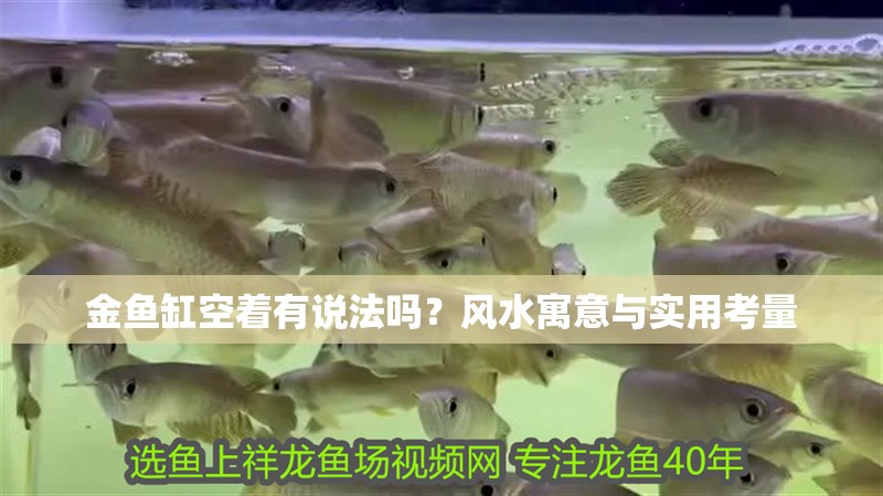 金魚缸空著有說法嗎？風水寓意與實用考量