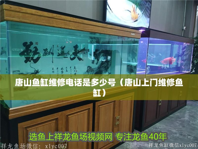 唐山魚缸維修電話是多少號（唐山上門維修魚缸）