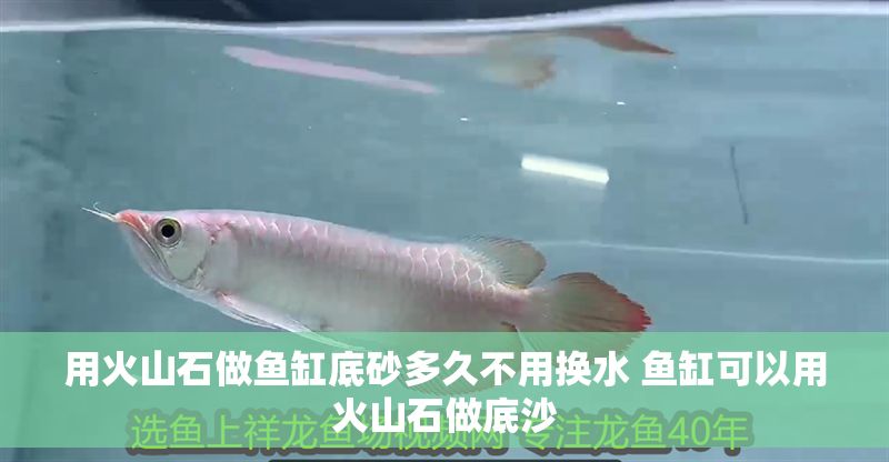 用火山石做魚缸底砂多久不用換水 魚缸可以用火山石做底沙