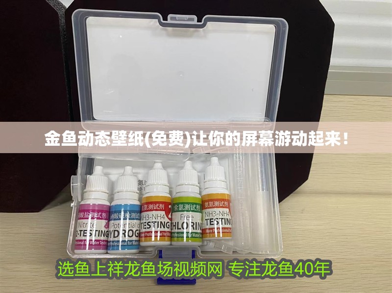 金魚動態壁紙(免費)讓你的屏幕游動起來！