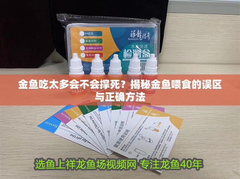 金魚吃太多會不會撐死？揭秘金魚喂食的誤區與正確方法