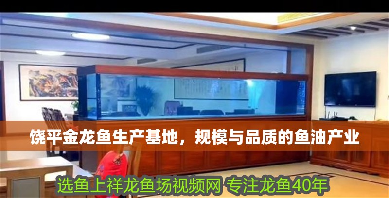 饒平金龍魚生產基地，規模與品質的魚油產業