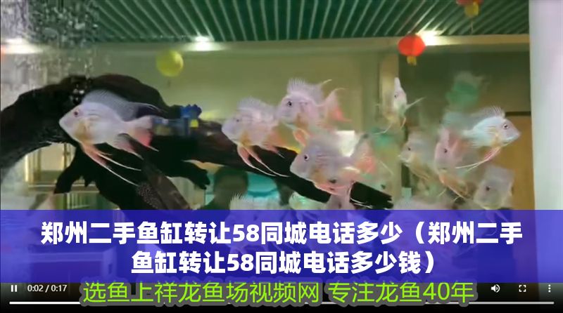 鄭州二手魚缸轉讓58同城電話多少（鄭州二手魚缸轉讓58同城電話多少錢）