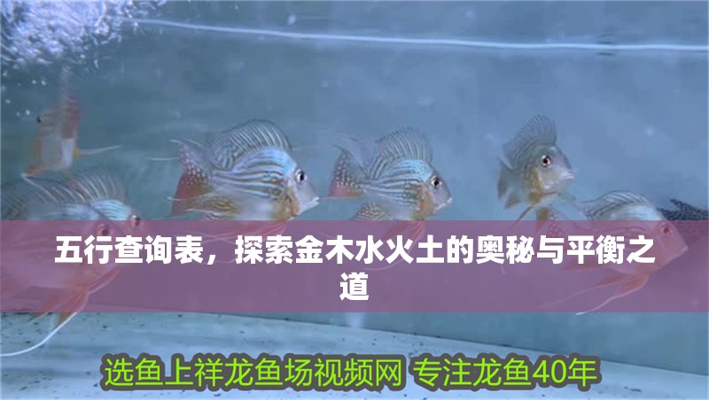 五行查詢表，探索金木水火土的奧秘與平衡之道