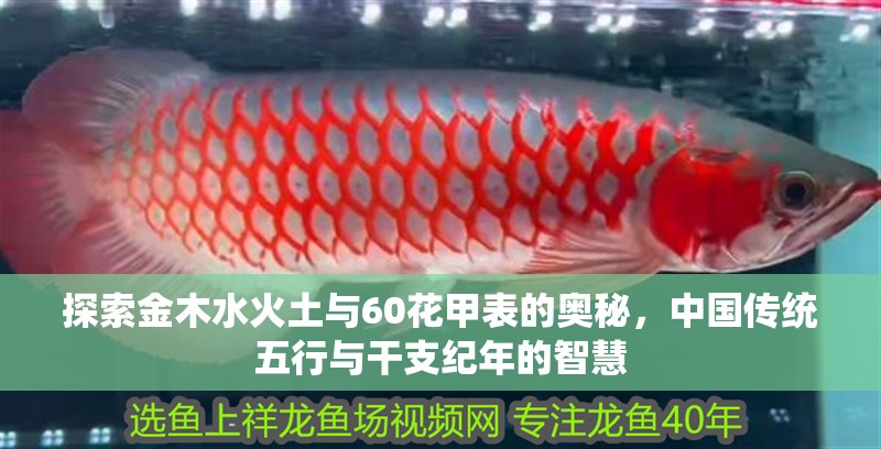 探索金木水火土與60花甲表的奧秘，中國(guó)傳統(tǒng)五行與干支紀(jì)年的智慧