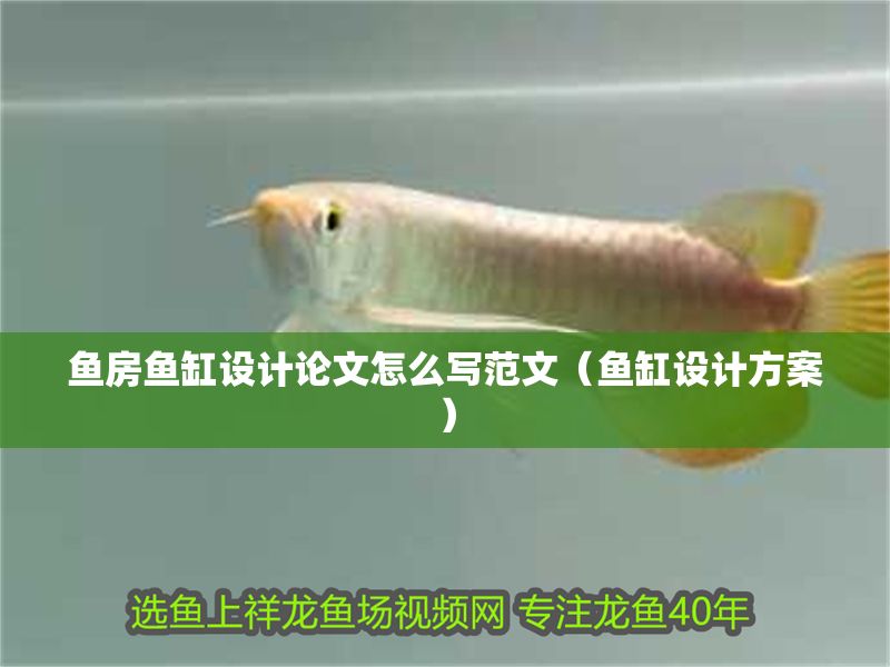 魚房魚缸設計論文怎么寫范文（魚缸設計方案）