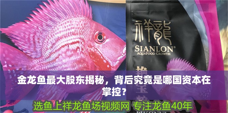金龍魚最大股東揭秘，背后究竟是哪國資本在掌控？