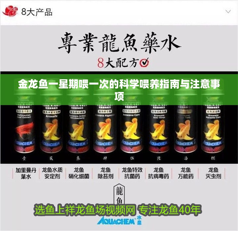 金龍魚(yú)一星期喂一次的科學(xué)喂養(yǎng)指南與注意事項(xiàng)