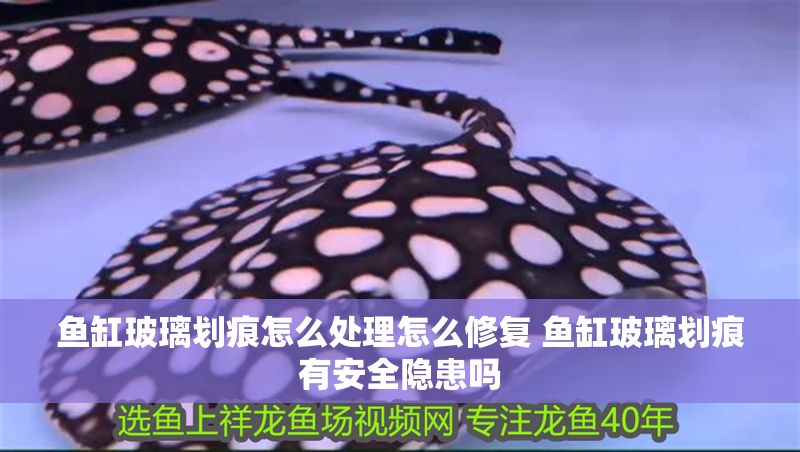 魚缸玻璃劃痕怎么處理怎么修復 魚缸玻璃劃痕有安全隱患嗎