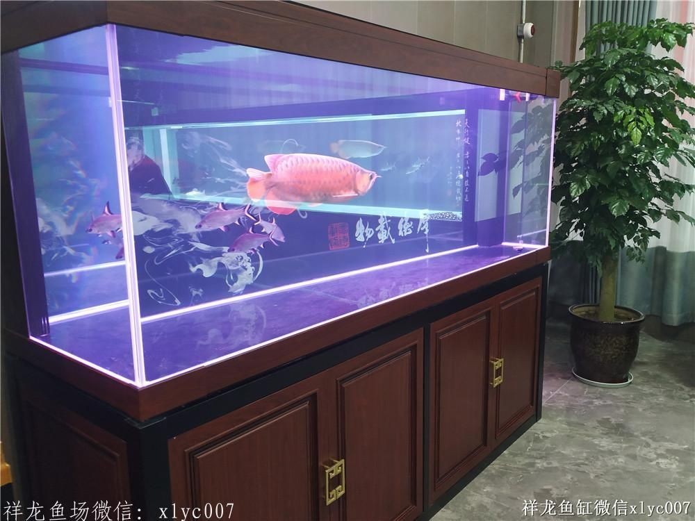 品牌魚缸，首選祥龍魚場——品質卓越，設計新穎，打造您的專屬水族世界！