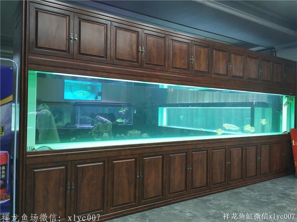 品牌魚缸，首選祥龍魚場——品質卓越，設計新穎，打造您的專屬水族世界！