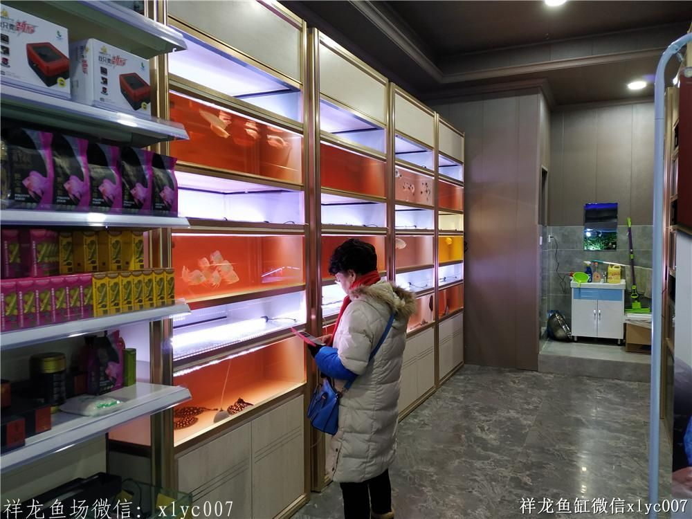 品牌魚缸，首選祥龍魚場——品質卓越，設計新穎，打造您的專屬水族世界！