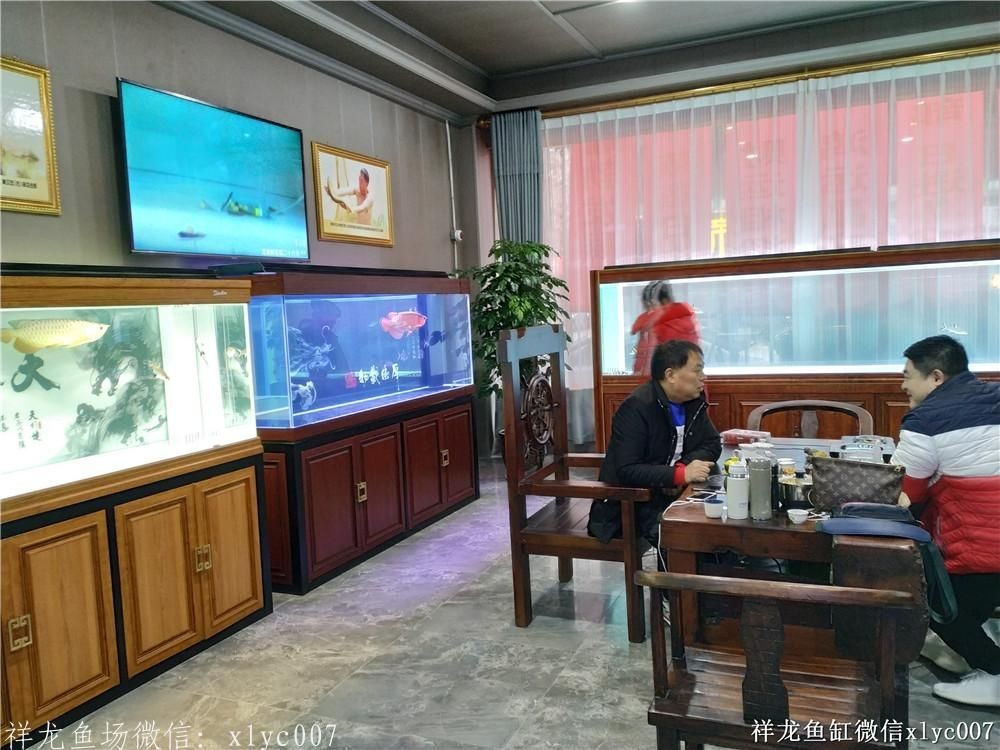 祥龍Sianlon魚缸——品質(zhì)卓越，設(shè)計創(chuàng)新，為您打造夢幻水族館新體驗！