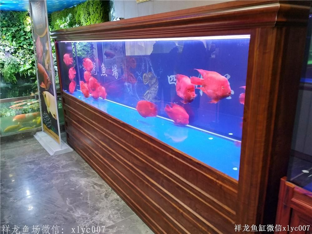 祥龍Sianlon魚缸——品質(zhì)卓越，設(shè)計創(chuàng)新，為您打造夢幻水族館新體驗！