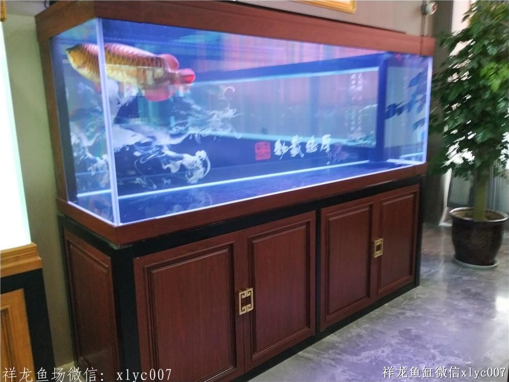 祥龍Sianlon魚缸——品質(zhì)卓越，設(shè)計創(chuàng)新，為您打造夢幻水族館新體驗！