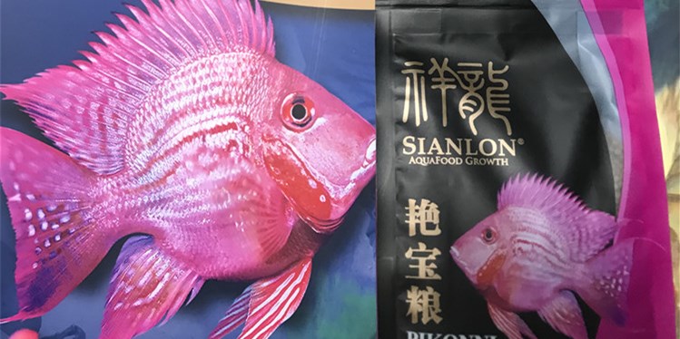 元寶鳳凰魚專用營養魚糧，均衡配方助力健康生長