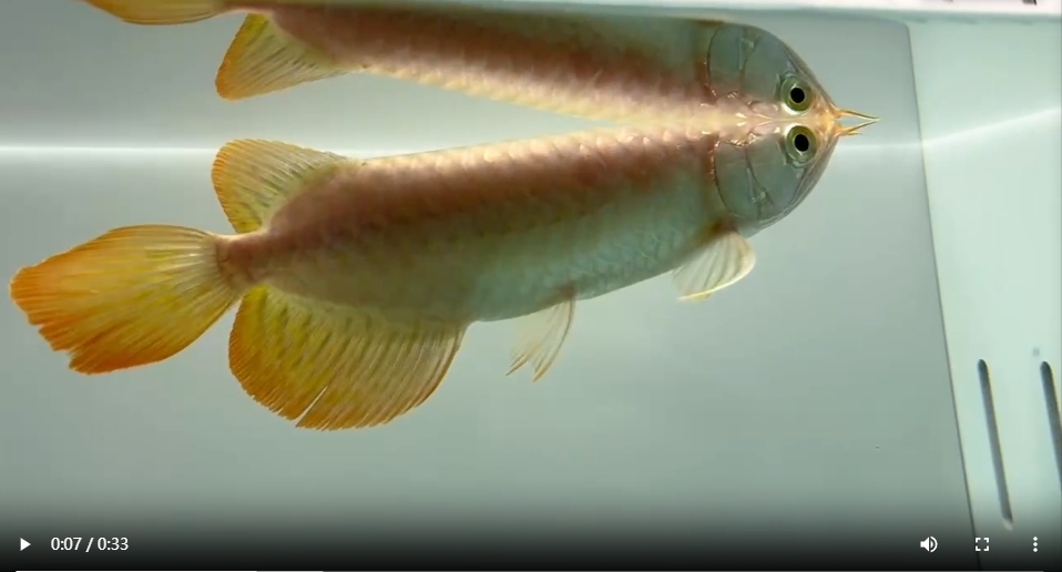 微信截圖_20250319094335.png 微信截圖_20250319094335.png