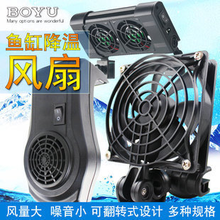 屬龍養(yǎng)什么魚招財(cái)轉(zhuǎn)運(yùn)：屬龍者養(yǎng)魚旺財(cái)聚財(cái)?shù)钠婷钪x