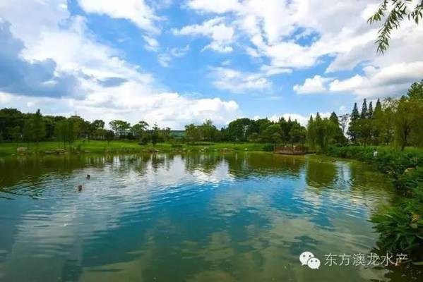 螺類會吃魚的糞便嗎？解析水族生態中的分解者角色，螺類會吃魚糞嗎？揭秘水族箱中的分解者生態作用