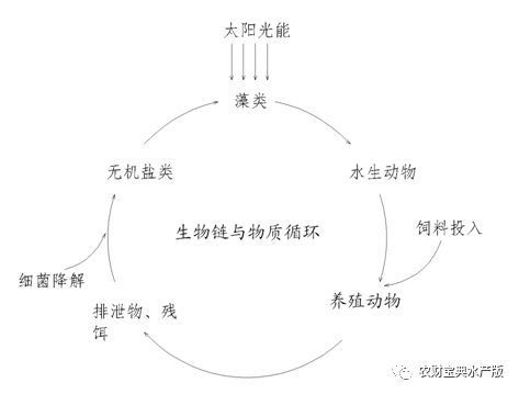 詳細閱讀:鎮宅最厲害三個魚:養龍魚的10大忌,你了解多少? 鎮宅最厲害三個魚:養龍魚的10大忌,你了解多少?