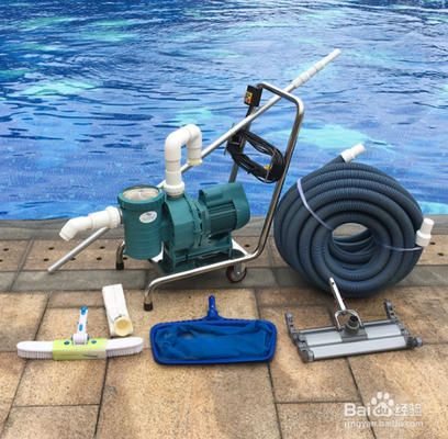 龍魚喂泥鰍需要怎么處理呢：龍魚喂食泥鰍的科學處理與注意事項