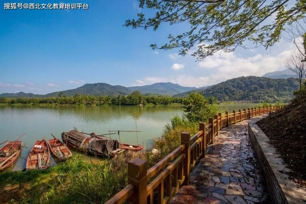 曼龍魚為何不能養在魚缸里：曼龍魚，美麗背后難以駕馭的觀賞魚