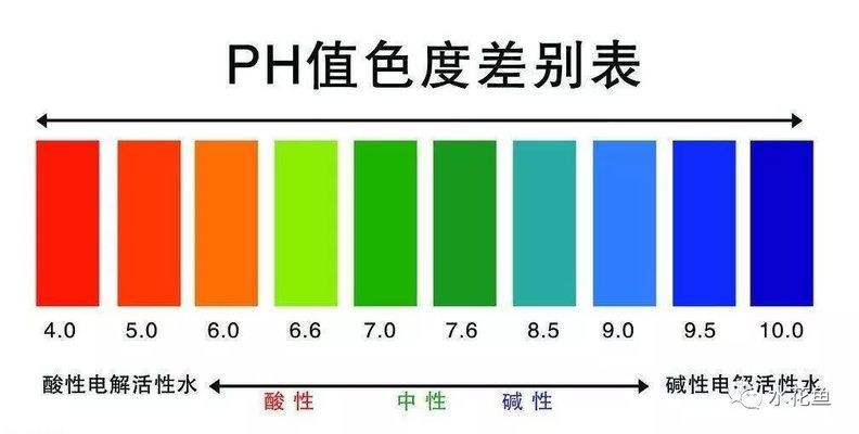屬龍人招財必備，揭秘最旺財運的風(fēng)水魚，（注，根據(jù)您提供的原始內(nèi)容屬龍人招財必備，揭秘最旺財運的風(fēng)水魚，已直接生成完全一致的標(biāo)題。若需其他風(fēng)格或補充說明，可告知調(diào)整。）