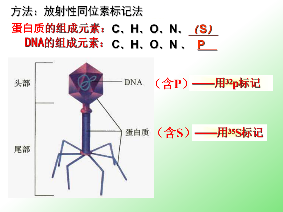 養錦鯉多久加一次鹽比較好:養錦鯉多久加一次鹽,科學養護,鹽分調控有訣竅 龍魚百科 第2張 養錦鯉多久加一次鹽比較好:養錦鯉多久加一次鹽,科學養護,鹽分調控有訣竅 養錦鯉多久加一次鹽比較好:養錦鯉多久加一次鹽,科學養護,鹽分調控有訣竅 龍魚百科 第2張