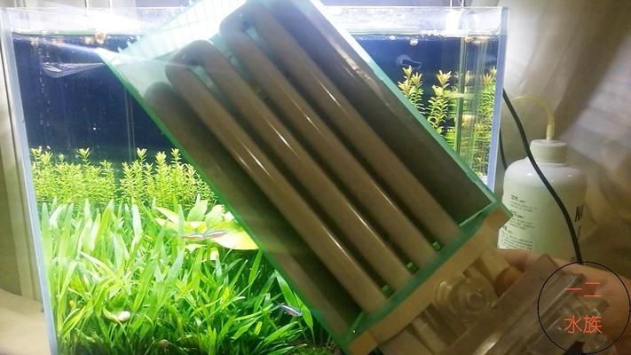 2025魚缸最忌三個(gè)地方，避開這些禁忌，讓你的魚兒更健康，2025養(yǎng)魚必知，魚缸最忌這三個(gè)地方，避坑指南助魚兒健康
