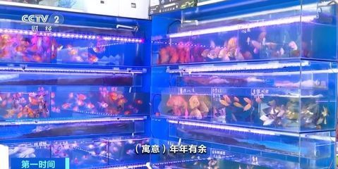 客廳財位最旺三個地方圖片：客廳財位最旺的三個地方，揭秘家居風水中的財富密碼