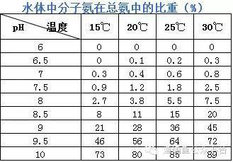 妻子為魚龍之身解釋是什么：妻子為魚龍之身的奇幻解釋，愛與神秘的交織