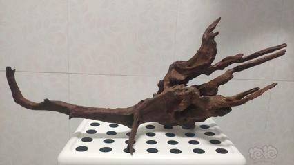 魚塘養魚，一畝能養多少魚？，一畝魚塘的合理養魚密度與數量解析 魚塘養魚，一畝能養多少魚？，一畝魚塘的合理養魚密度與數量解析 龍魚百科 第2張
