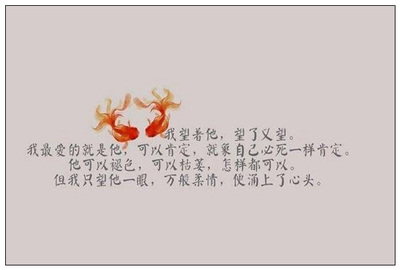 龍魚鎮宅最吉利的三個地方，風水布局與招財旺運指南，龍魚鎮宅三大吉位風水布局與招財旺運全攻略