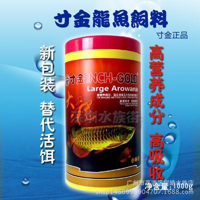 魚龍，遠古海洋中的最佳動物，魚龍，遠古海洋中的頂級掠食者