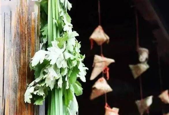 風(fēng)水魚養(yǎng)幾條最吉利最旺財(cái)農(nóng)副產(chǎn)品包括什么：風(fēng)水魚之吉利數(shù)與旺財(cái)奧秘，探尋水中的財(cái)富密碼