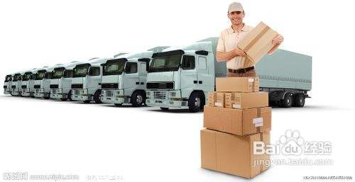 龍魚可以吃蝦嗎(龍蝦能吃魚嗎)