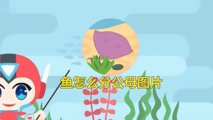王寶強新劇〈棋士〉同款魚缸爆火！揭秘背后的治愈哲學與家居美學，王寶強新劇棋士同款魚缸走紅，治愈哲學與家居美學的完美融合