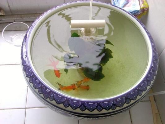 魚化龍最忌諱的三個生肖，魚化龍最忌諱的三個生肖，千萬要避開！