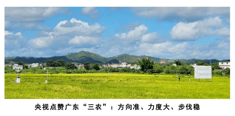 一缸能養(yǎng)兩條招財(cái)魚嗎視頻：一缸能養(yǎng)兩條招財(cái)魚嗎？深度解析與科學(xué)養(yǎng)護(hù)指南