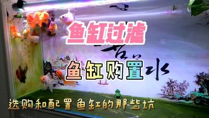 養(yǎng)魚(yú)10—20條風(fēng)水屬相：養(yǎng)魚(yú)10—20條風(fēng)水，探尋魚(yú)缸里的吉祥密碼