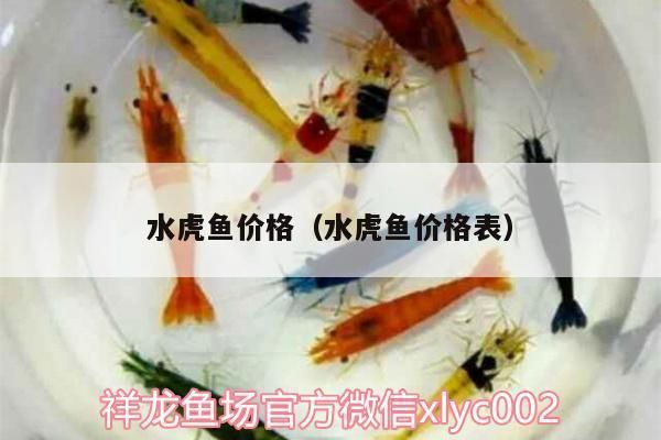 麒麟擺放的最佳三個位置圖：麒麟擺放的藝術，探尋三個最佳位置，解鎖祥瑞與和諧