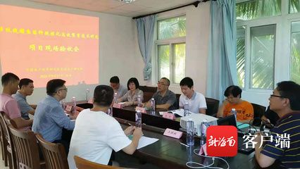 魚化龍最厲害的三個生肖，命運與機遇的完美蛻變，魚化龍三大最強生肖，命運蛻變與機遇的巔峰象征