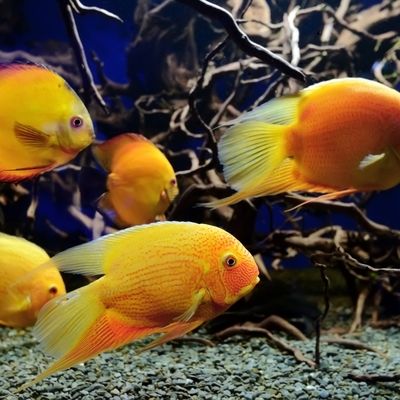 客廳門口風(fēng)水十大禁忌，避開這些布局，家運(yùn)亨通財(cái)運(yùn)旺！，客廳門口風(fēng)水十大禁忌，避開這些布局，家運(yùn)亨通財(cái)運(yùn)旺！