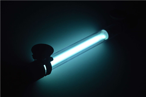 龍魚跳缸最忌三個原因，預防與應對策略，龍魚跳缸三大忌，原因解析與有效防治策略