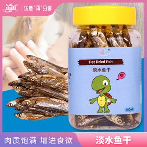 養(yǎng)十幾條魚最招財(cái)，風(fēng)水魚的數(shù)量與財(cái)運(yùn)提升之道，養(yǎng)十幾條魚最招財(cái)？揭秘風(fēng)水魚數(shù)量與財(cái)運(yùn)提升的奧秘