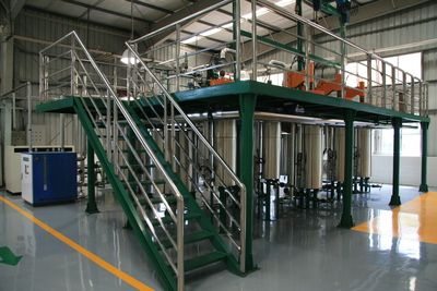 恐龍是兩棲類還是爬行類？揭秘遠古巨獸的分類之謎，恐龍屬于爬行類還是兩棲類？科學解析遠古巨獸的真實分類